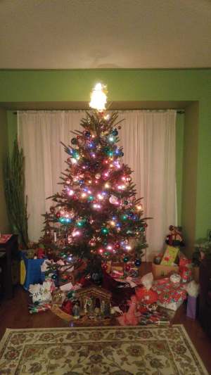 Our gorgeous Christmas tree. :D